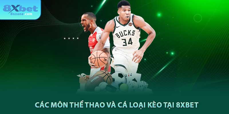 Các môn thể thao và cá loại kèo tại 8sbet