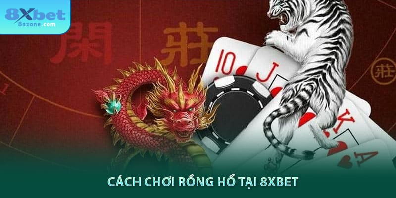 cách chơi rồng hổ tại 8sbet