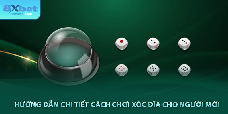 8sbet hướng dẫn chi tiết cách chơi xóc đĩa cho người mới