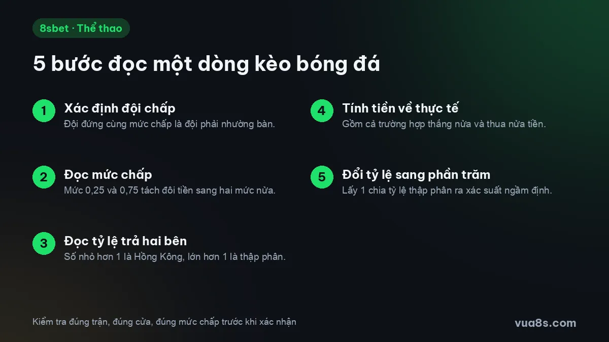 Năm bước đọc một dòng kèo bóng đá: đội chấp, mức chấp, tỷ lệ trả, tiền về