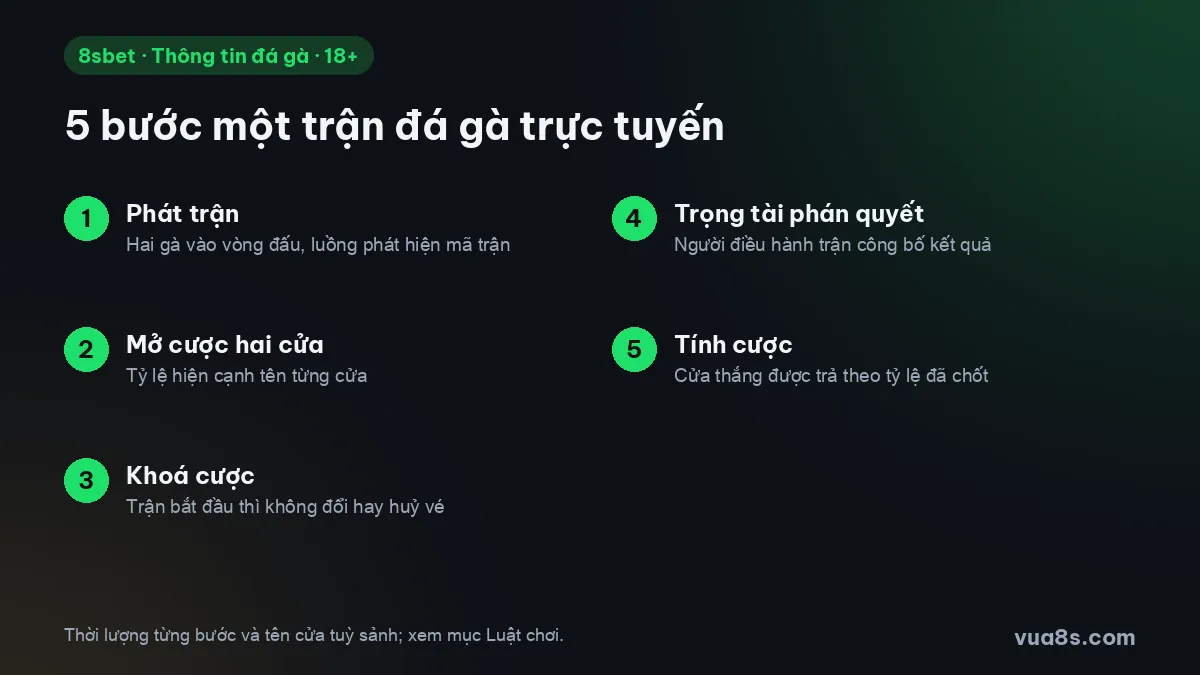 5 bước một trận đá gà trực tuyến: phát trận, mở cược hai cửa, khoá cược, trọng tài phán quyết, tính cược