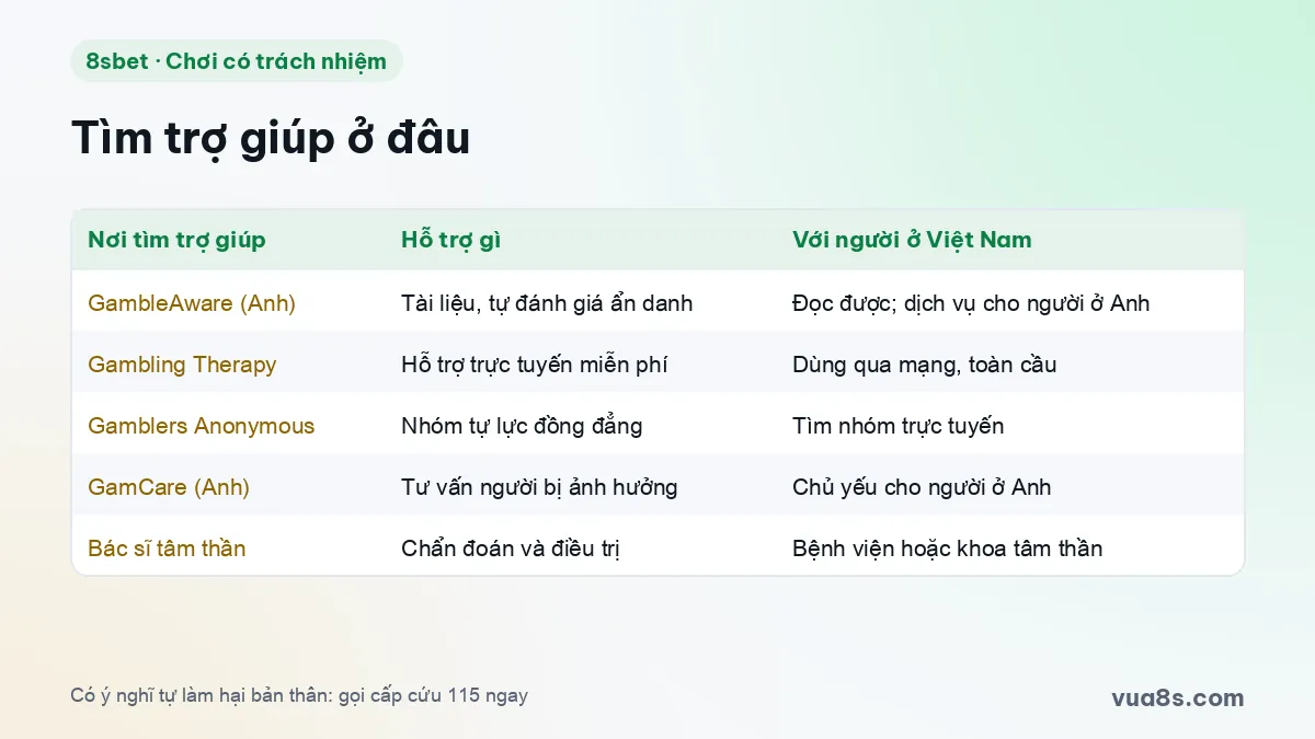 Bảng nơi tìm trợ giúp khi cờ bạc mất kiểm soát: tổ chức quốc tế, nhóm tự lực và bác sĩ tâm thần